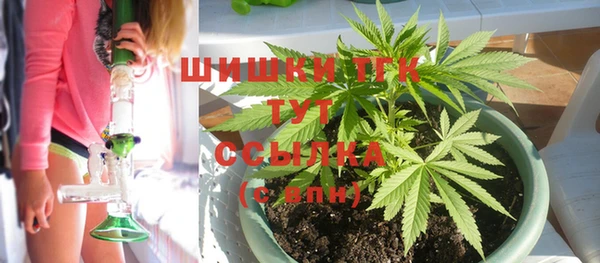 spice Верхний Тагил