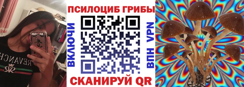 MEGA как войти  Гремячинск  Галлюциногенные грибы MAGIC MUSHROOMS 